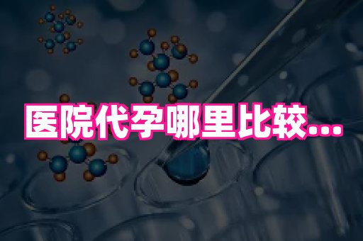 北京助孕网 2