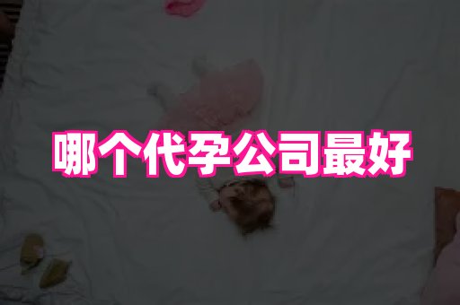 北京助孕网 3