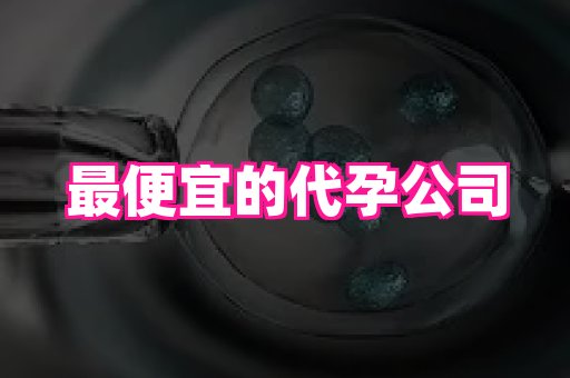 北京助孕网 4